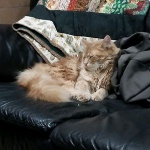 Meet your Posher, Kayleigh